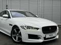 Jaguar XE 20d 180PS R-Sport Automatik Blanc - thumbnail 2