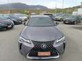 Lexus UX 250h 2.0 BUSINESS 2WD CVT MY20 Grigio - thumbnail 10