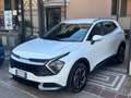 Kia Sportage 1.6 CRDI 136 CV DCT7 2WD Mild Hybrid Business Bianco - thumbnail 3