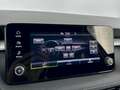 Skoda Fabia 116PS LED 3xHeizung Wireles Virtuell APP Grau - thumbnail 9