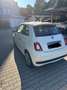 Fiat 500 Sport - Top Ausstatung Weiß - thumbnail 7