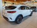 Kia XCeed 1.0 T-GDi GPL Style - KM ZERO Bianco - thumbnail 5