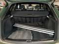 Audi Q5 40 TDI qu s line Competition Plus AHK Pano Grün - thumbnail 7