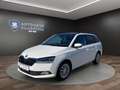 Skoda Fabia C. 1.0 TSI Drive 125 Best Of SHZ*PANO*NAVI Klima Weiß - thumbnail 1