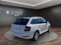 Skoda Fabia C. 1.0 TSI Drive 125 Best Of SHZ*PANO*NAVI Klima Weiß - thumbnail 5