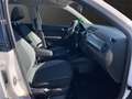 Skoda Fabia C. 1.0 TSI Drive 125 Best Of SHZ*PANO*NAVI Klima Weiß - thumbnail 19