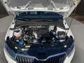 Skoda Fabia C. 1.0 TSI Drive 125 Best Of SHZ*PANO*NAVI Klima Weiß - thumbnail 9