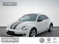 Volkswagen Beetle 2.0+TDI+DSG+SPORT+Bi-XENON+GRA+ Blanc - thumbnail 1