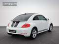 Volkswagen Beetle 2.0+TDI+DSG+SPORT+Bi-XENON+GRA+ Blanc - thumbnail 6