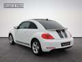 Volkswagen Beetle 2.0+TDI+DSG+SPORT+Bi-XENON+GRA+ Blanc - thumbnail 4