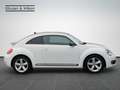 Volkswagen Beetle 2.0+TDI+DSG+SPORT+Bi-XENON+GRA+ Blanc - thumbnail 7