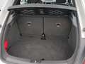 Volkswagen Beetle 2.0+TDI+DSG+SPORT+Bi-XENON+GRA+ Blanc - thumbnail 18