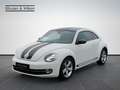 Volkswagen Beetle 2.0+TDI+DSG+SPORT+Bi-XENON+GRA+ Blanc - thumbnail 2