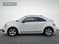 Volkswagen Beetle 2.0+TDI+DSG+SPORT+Bi-XENON+GRA+ Blanc - thumbnail 3