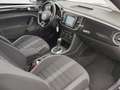 Volkswagen Beetle 2.0+TDI+DSG+SPORT+Bi-XENON+GRA+ Blanc - thumbnail 17