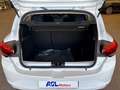 Dacia Sandero Streetway 1.0 TCe 90 CV Essential CVT Bianco - thumbnail 8