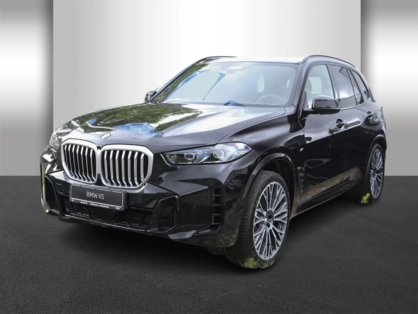 BMW X5 xDrive40d M Sportpaket Innovationsp. AHK - 2