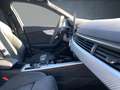 Audi RS4 RS4 Avant RS-Aga/B&O/Pano/Assist/Maritx/280/ACC/ Green - thumbnail 18
