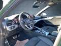 Audi RS4 RS4 Avant RS-Aga/B&O/Pano/Assist/Maritx/280/ACC/ Green - thumbnail 11