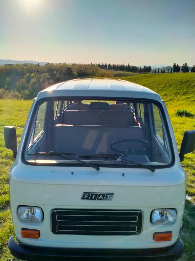 Fiat 900 panorama pulmino - 2