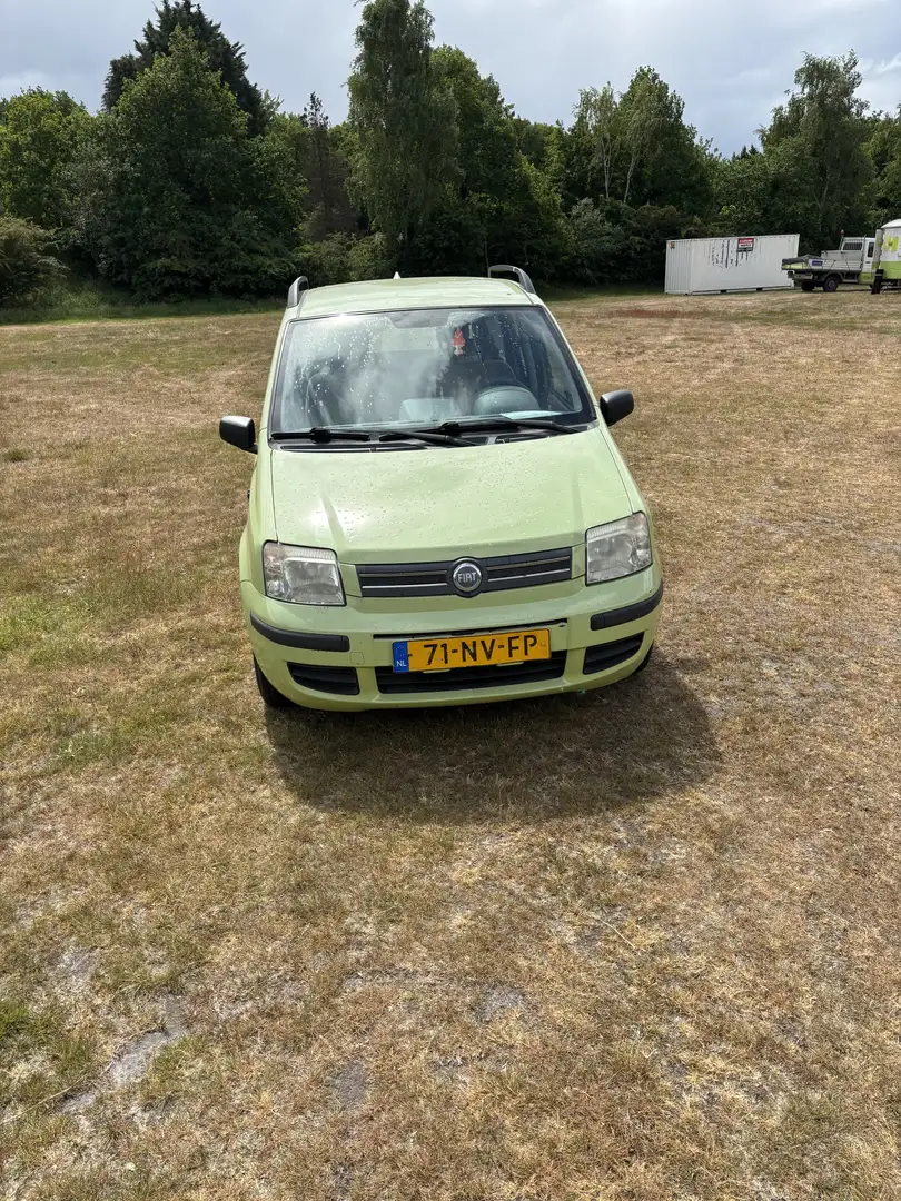 Fiat Panda 1.2 Dynamic Grün - 2