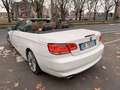 BMW 320 320i Cabrio Attiva 170cv - thumbnail 7