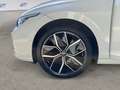 Volkswagen Golf 1.5 etsi 50 Years 115cv dsg Bianco - thumbnail 8