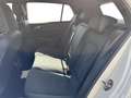 Volkswagen Golf 1.5 etsi 50 Years 115cv dsg Bianco - thumbnail 12