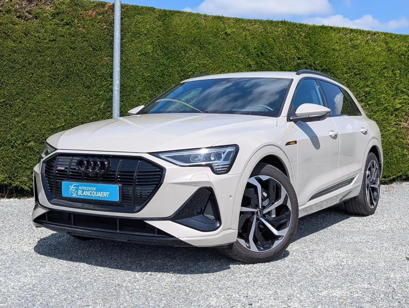 Audi e-tron Q8/e-tron - RS seats + 2x S-line - trekhaak - blac Beige - 1
