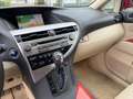 Lexus RX 450h 4WD Executive Edition Rood - thumbnail 25