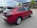 Lexus RX 450h 4WD Executive Edition Rood - thumbnail 5