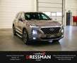 Hyundai SANTA FE 2.2 CRDi Premium 4WD KRELL HuD PANO LED Bronze - thumbnail 3