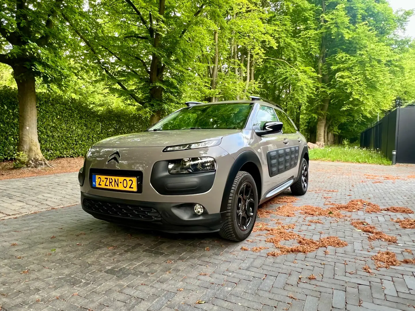 Citroen C4 Cactus C4 Cactus 1.2 VTi Shine Bruin - 2