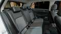 Volkswagen Golf 8 VIII 1.5 eTSI DSG Goal LED+/ACC/Kamera/Ap Weiß - thumbnail 12
