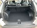 Hyundai TUCSON 1.6B 150PS 2WD Select 48V LED, Fkt.P, Nav Weiß - thumbnail 12