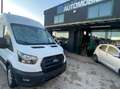 Ford Transit 350 tr.post.2.0 tdci 170cv trend L3H2 E6.2 Bianco - thumbnail 15