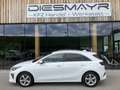 Kia Ceed / cee'd ceed 1,6 CRDi 48V Gold DCT Wit - thumbnail 2