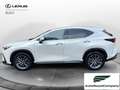 Lexus NX 300 Plug-in Premium 4WD MY22 Weiß - thumbnail 2