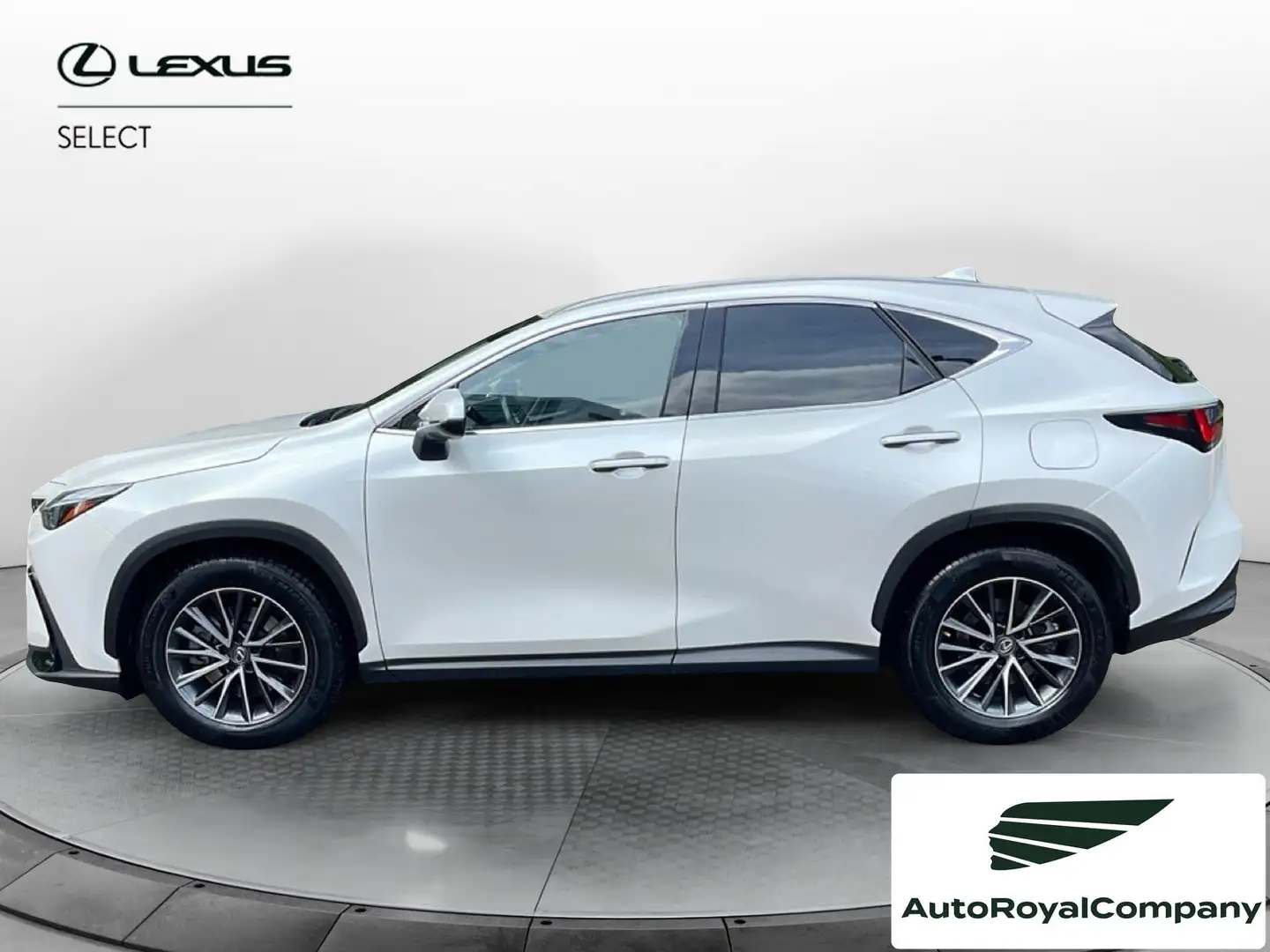 Lexus NX 300 Plug-in Premium 4WD MY22 Weiß - 2