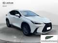 Lexus NX 300 Plug-in Premium 4WD MY22 Weiß - thumbnail 7