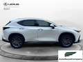 Lexus NX 300 Plug-in Premium 4WD MY22 Weiß - thumbnail 6