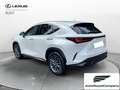 Lexus NX 300 Plug-in Premium 4WD MY22 Weiß - thumbnail 3