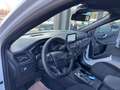 Ford Kuga 2.5 Plug-In Hybrid ST-Line AUTOMATIk*LED* Weiß - thumbnail 10