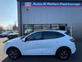 Ford Kuga 2.5 Plug-In Hybrid ST-Line AUTOMATIk*LED* Weiß - thumbnail 4