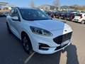 Ford Kuga 2.5 Plug-In Hybrid ST-Line AUTOMATIk*LED* Weiß - thumbnail 3