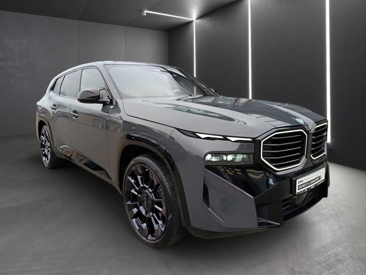 BMW XM 50e 23"ALU+MASSAGE+DR.ASS PRO+ICONIC Gris - 2