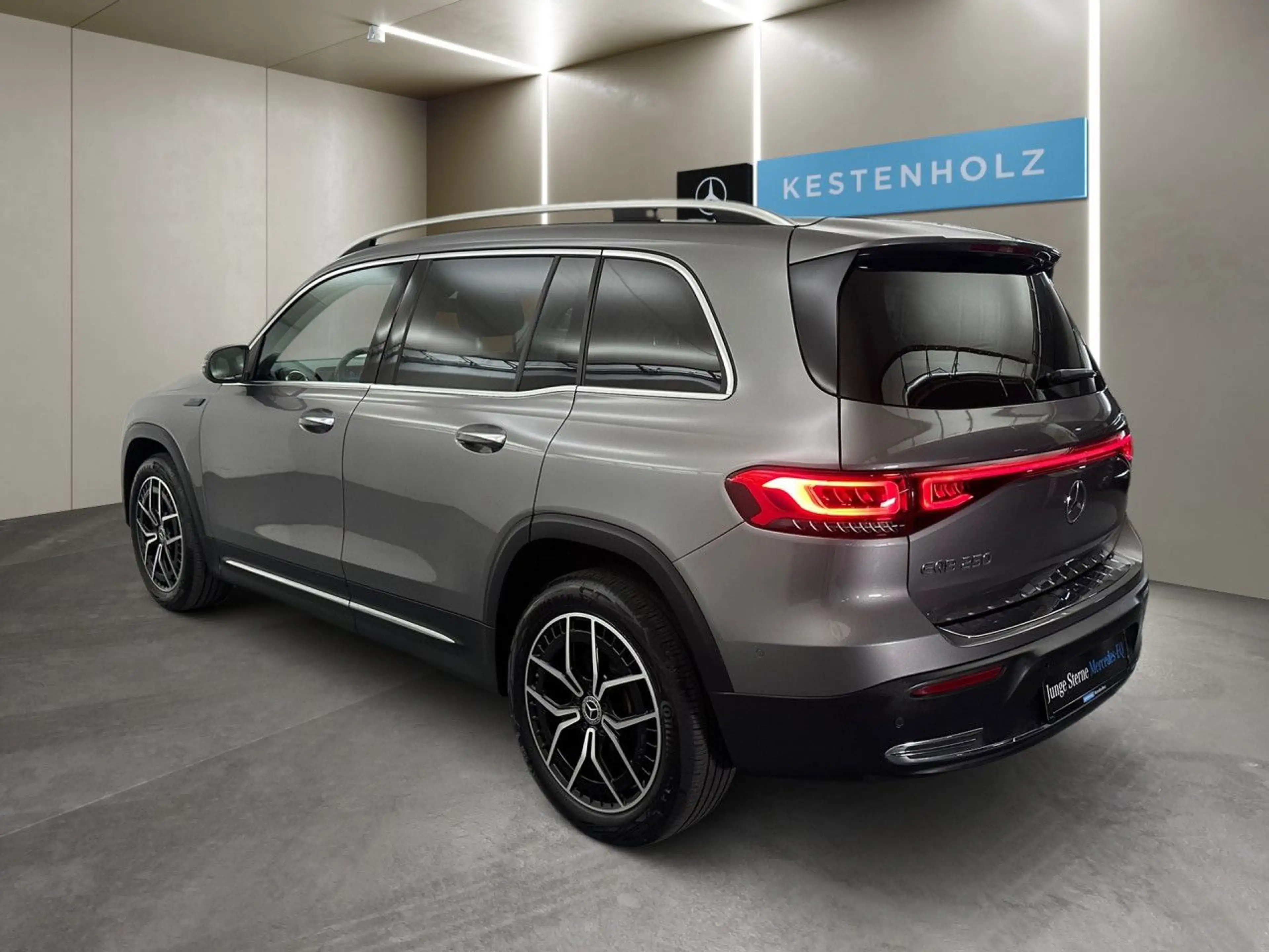 Mercedes-Benz EQB 250 Pano LED Keyl-GO Kamera Laderaump PTS Temp — photo 6