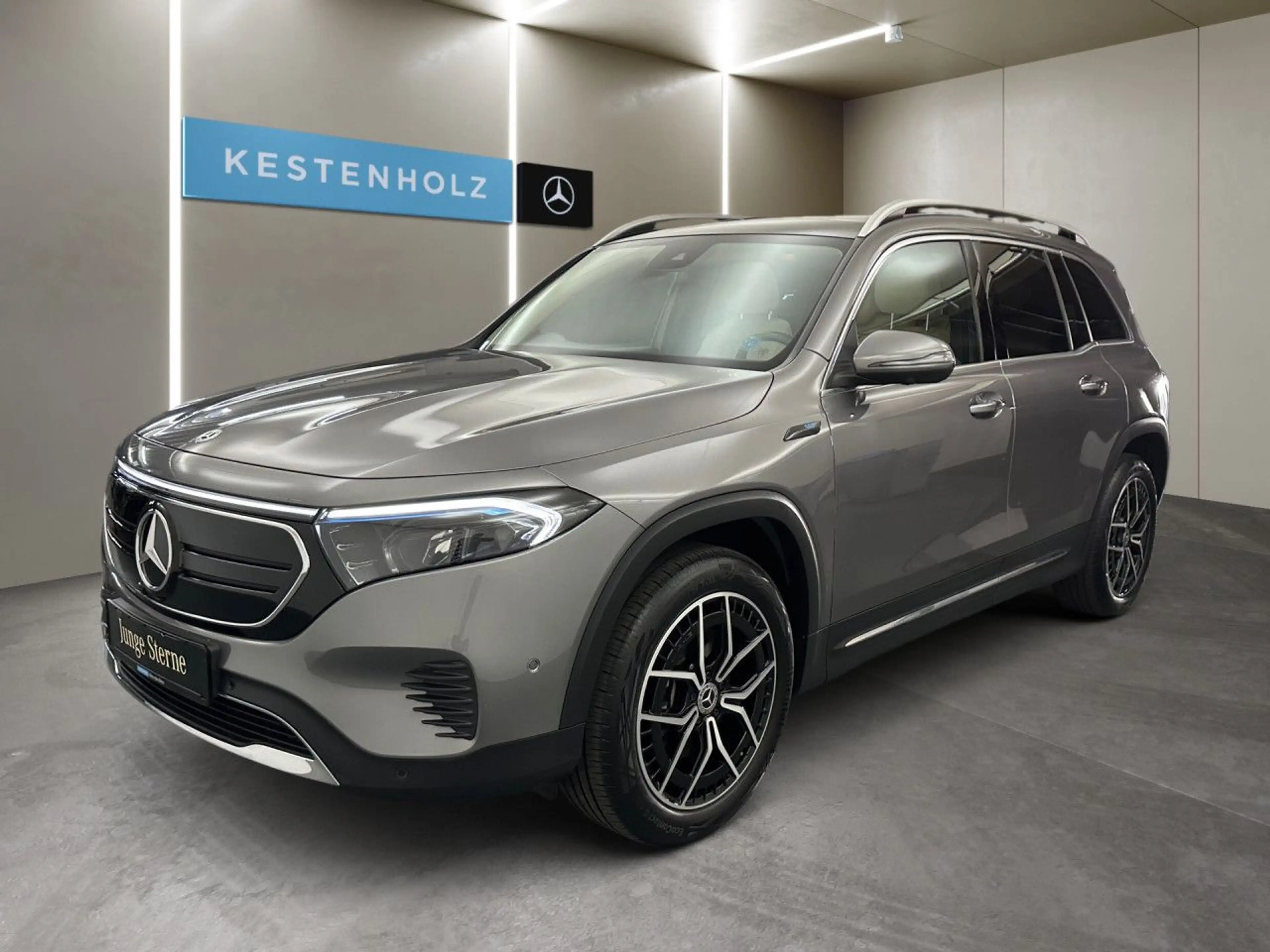 Mercedes-Benz EQB 250 Pano LED Keyl-GO Kamera Laderaump PTS Temp — photo 2