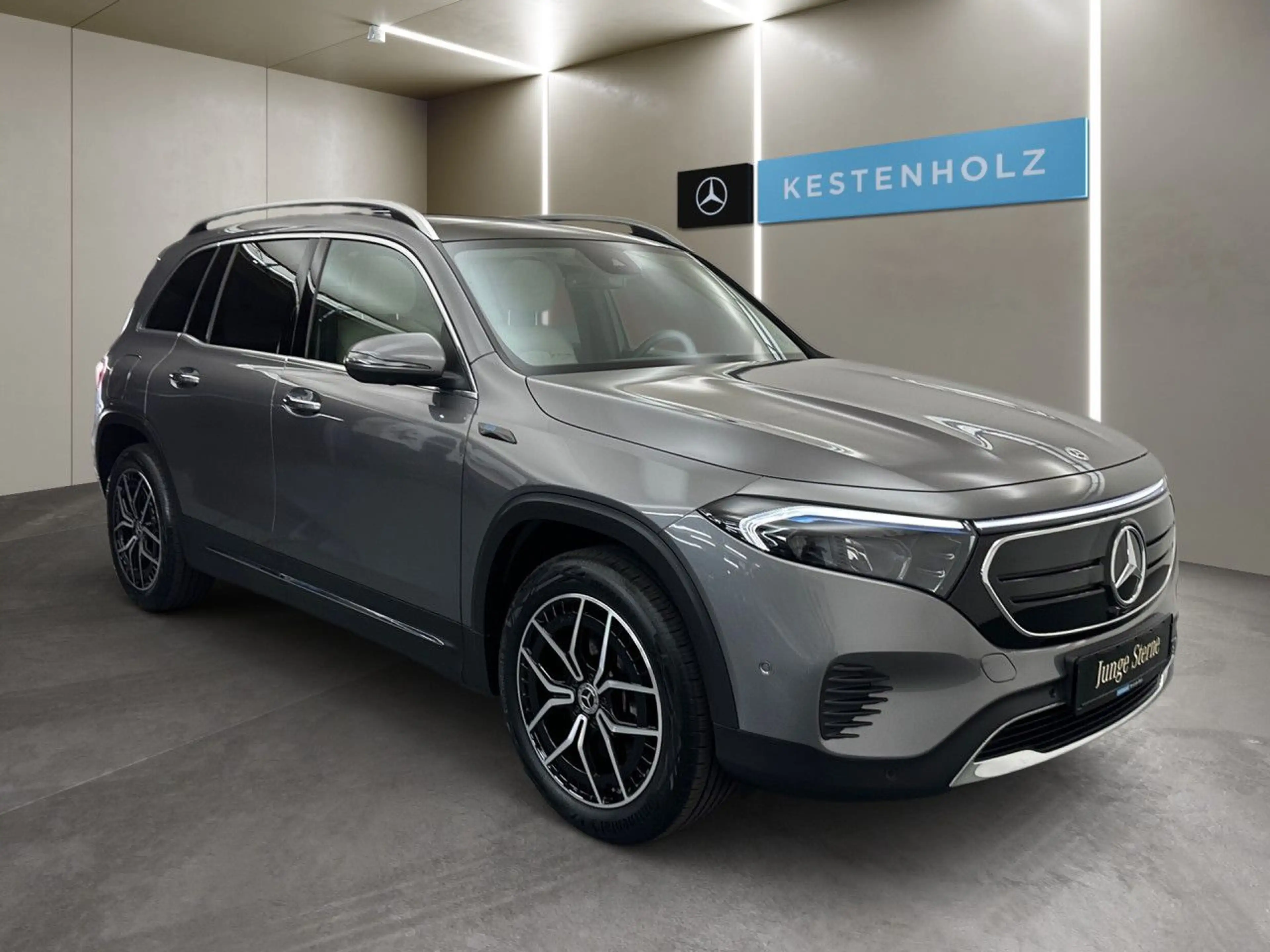 Mercedes-Benz EQB 250 Pano LED Keyl-GO Kamera Laderaump PTS Temp — photo 4
