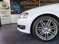 Audi A3 Cabriolet Ambition*Bose*Navi*Leder*Bi-Xenon* Blanc - thumbnail 15